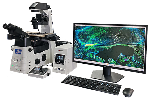 研究型全電動倒置顯微鏡CREATIVE I1-E